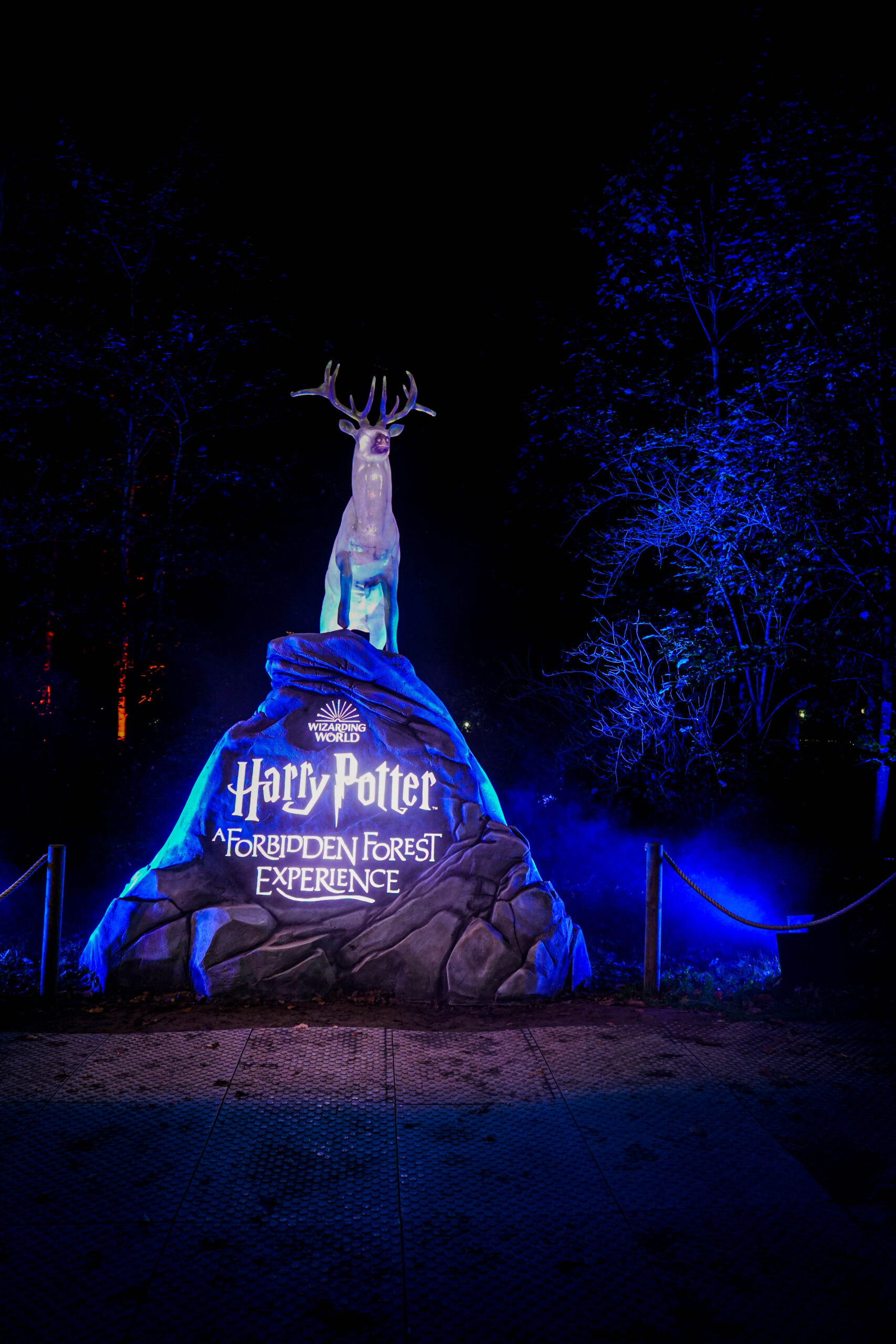 Harry Potter – A Forbidden Forest Experience